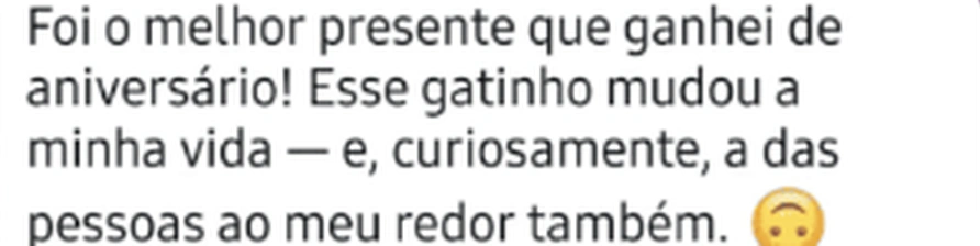 Print de WhatsApp de uma pessoa que ganhou o Date de presente